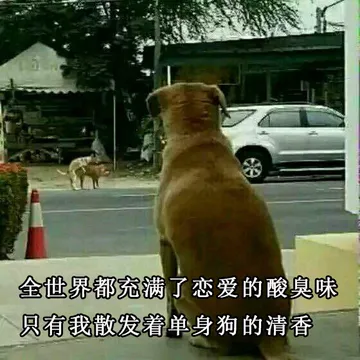 单身狗表情包：全世界都充满了恋爱的酸臭味，只有我散发着单身狗的清香