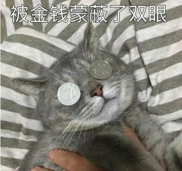 被金钱蒙蔽了双眼