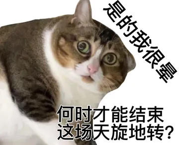 何时才能结束这场天旋地转?