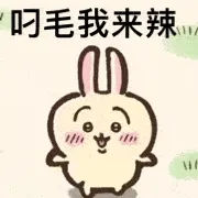 叼毛我来辣H