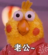 老公 memes