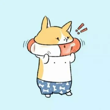 柴犬 memes