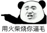 用火柴烧你逼毛