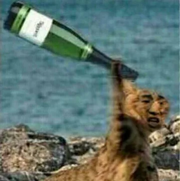 看到这个瓶子没(猎豹拿瓶子)