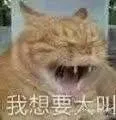 我想要大叫