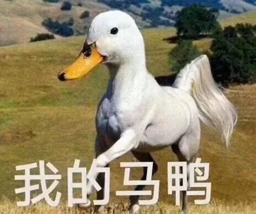 我的马鸭