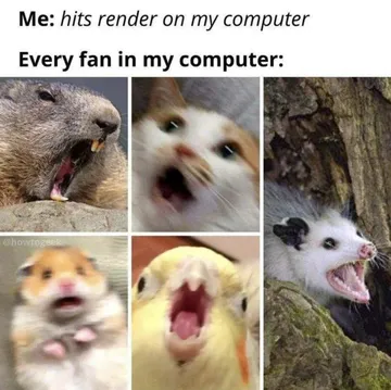 They Be Fighting For Their Lives