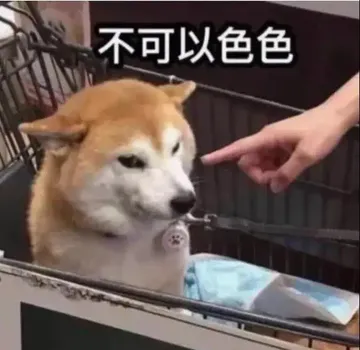 不可以色色