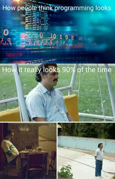 Expectations vs. Reality: The Programming Experience