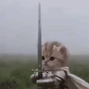 持剑小猫表情包gif
