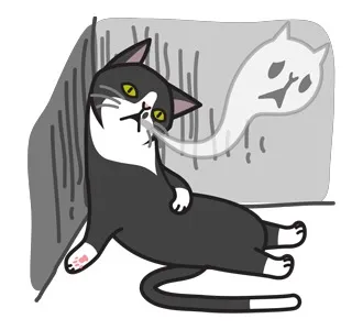 黑猫已死亡