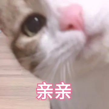 亲亲