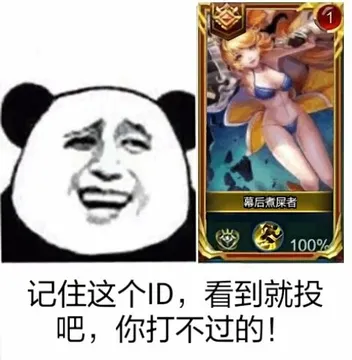 记住这个ID，看到就投吧，你打不过的