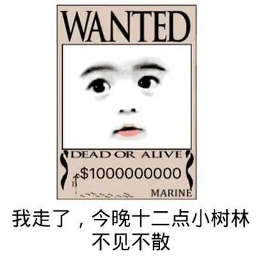 我走了，今晚十二点小树林不见不散！