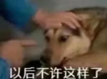 用手指着狗子：以后不许这样了