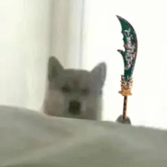 doge狗狗拿大刀动图表情包