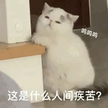 呜呜呜这是什么人间疾苦?