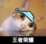 王者荣耀!(小猫发呆斗图啦)