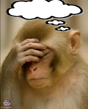 thinking monkey