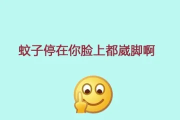 蚊子停在你脸上都歪脚啊