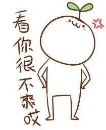 看你很不爽哎