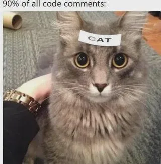 The Cryptic Comment Conundrum