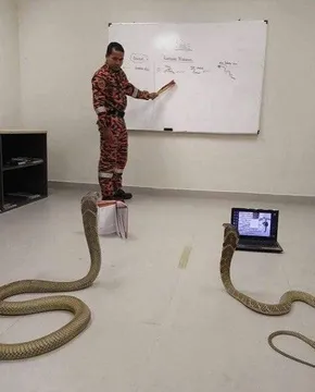 Teaching Python