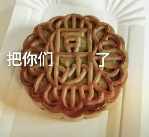 把你们了(豆沙月饼)
