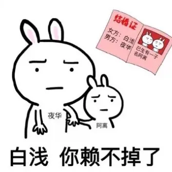 白浅 你赖不掉了