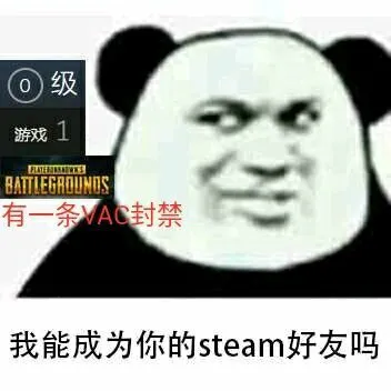 我能成为你的steam好友吗?(有一条VAC封禁)