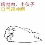 哟哟哟，小伙子，口气很冲啊！（放屁）
