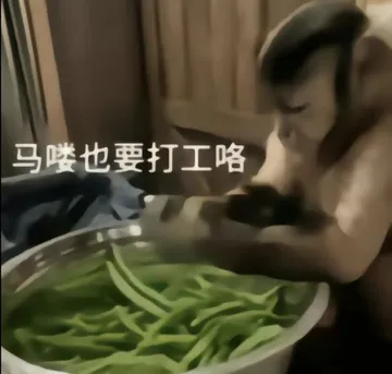 吗喽表情包 吗喽猴子搞笑图