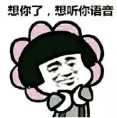 想你了.想听你语音