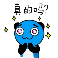 飞行熊日常生活一