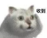 收到（mur猫表情包）