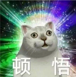 顿悟了