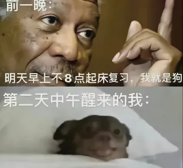前一晚明天早上不8点起床复习,我就是狗第二天中午醒来的我: