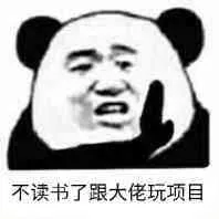 不读书了，跟大佬玩项目