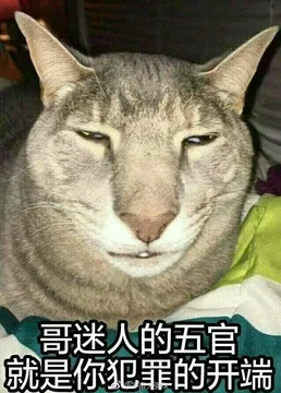 哥迷人的五端就是你犯罪的开端