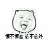 惊不惊喜意不意外