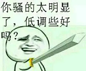 持剑：你骚的太明显了，低调些好吗