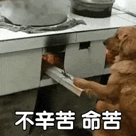猫咪修勾表情包