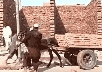 搬砖啦