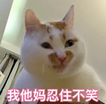 敲级萌~~~