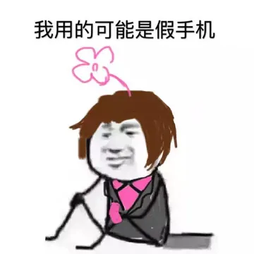 我用的可能是假手机