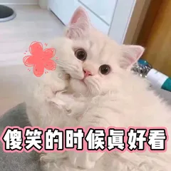 傻笑的时候真好看