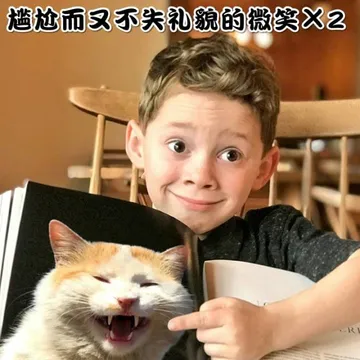 尴尬而不失礼貌的微笑x2（假笑男孩 Gavin 猫咪）