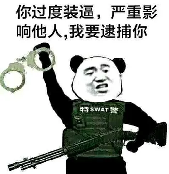 你过度装逼严重影响他人我要逮捕你