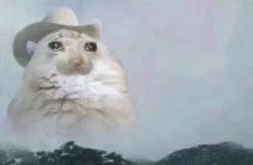 流泪猫猫头