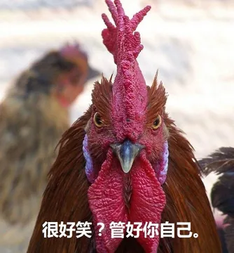 很好笑？管好你自己。